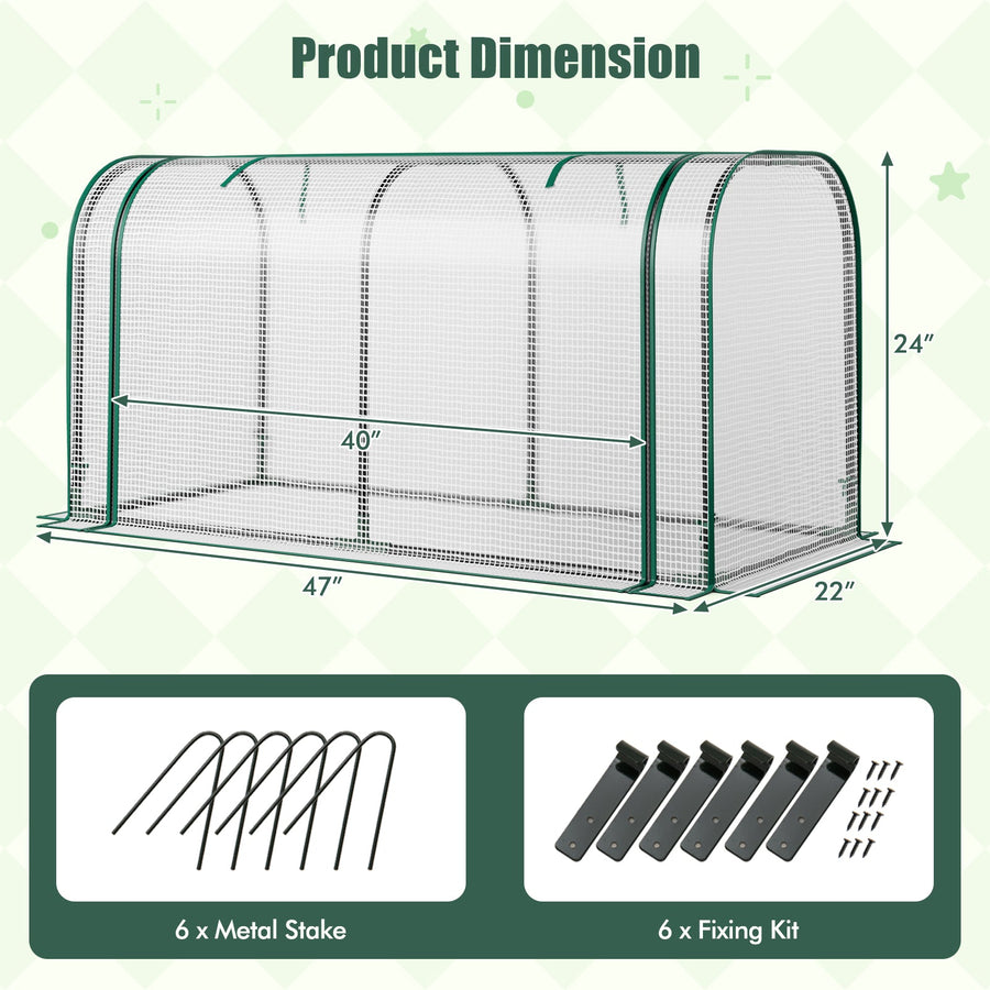 Mini Tunnel Greenhouse with Roll-up Zipper Door