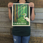 Congaree National Park: Great Egret (63 National Parks) Art Print