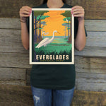 Everglades National Park: Great Egrets (63 National Parks) Art Print