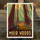 Muir Woods National Monument (American Travel) Art Print