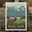 Grand Teton National Park: Elk (63 National Parks) Art Print