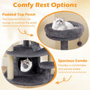 Multi-level Kitty Tower with Condo and Climbing Ladder-GR