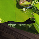 Bronze Arrow Frog Playmat