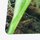 Patient Glutton Playmat