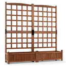 Dual Raised Garden Bed with Trellis and Drainage Holes