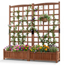 Dual Raised Garden Bed with Trellis and Drainage Holes