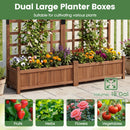 Dual Raised Garden Bed with Trellis and Drainage Holes