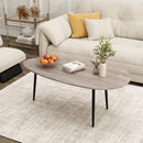 Oval Coffee Table Mid Century Center Table with Sturdy Metal Construction