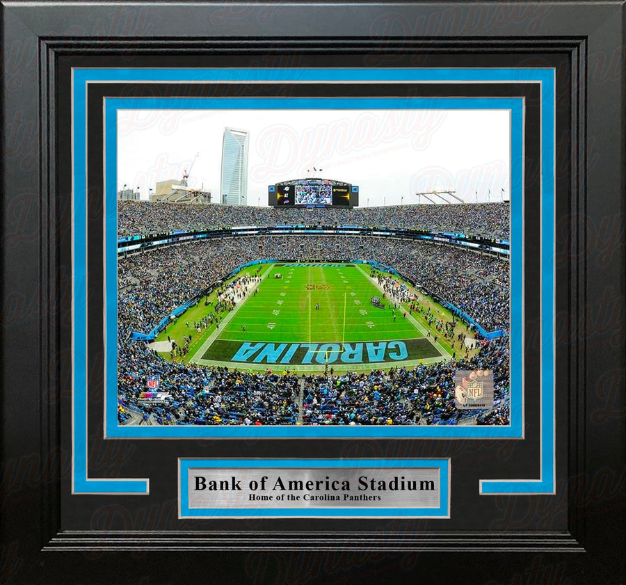 Carolina Panthers Bank of America Stadium NFL Football 8