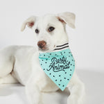 Party Animal Pet Bandana | In Blue With Printed Hearts Designs