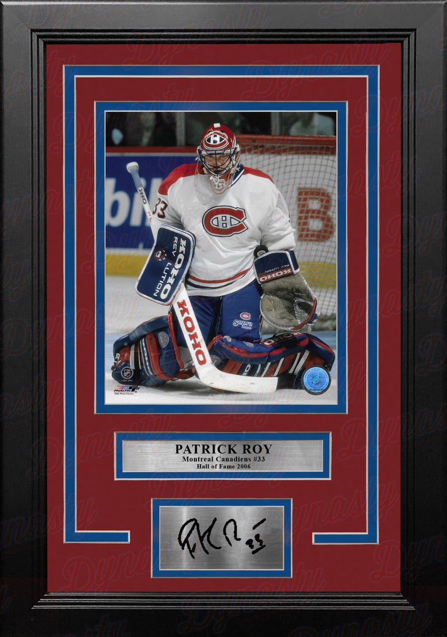 Patrick Roy in Action Montreal Canadiens 8