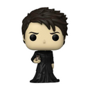 PREORDER (Estimated Arrival Q1 2025) POP TV: Sandman- Dream (Common)