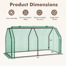 Portable Mini Greenhouse with PE Cover and Roll-Up Door
