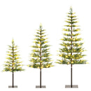 Pre-Lit Cypress Christmas Tree Set of 3 with LED Lights