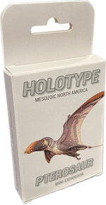 Holotype: Pterosaur Expansion