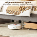 Queen Size Bed Frame with Storage Drawer and Vertical Channel Headboard
