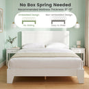 Queen Size Platform Bed Frame with Headboard - White