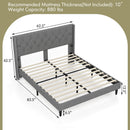 Full/Queen Size Upholstered Platform Bed with Button Tufted Headboard