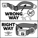 Dog Bone Seatbelt Buckle Collar - Cali License Plates Stacked