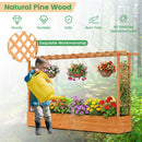 Raised Garden Bed Planter Box with Lattice Trellis Drainage Holes