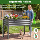 Raised Garden Bed Set of 2 Electro-Coating Metal Large Elevated Planter Box