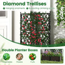 Raised Garden Bed with Lattice Trellis Drainage Self-Watering Elevated Vertical Planter Boxes-Black