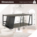 Rectangle Coffee Table 2-tier Industrial Accent Table with Storage Shelf and Compartment