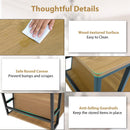 Rectangle Coffee Table 2-tier Industrial Accent Table with Storage Shelf and Compartment