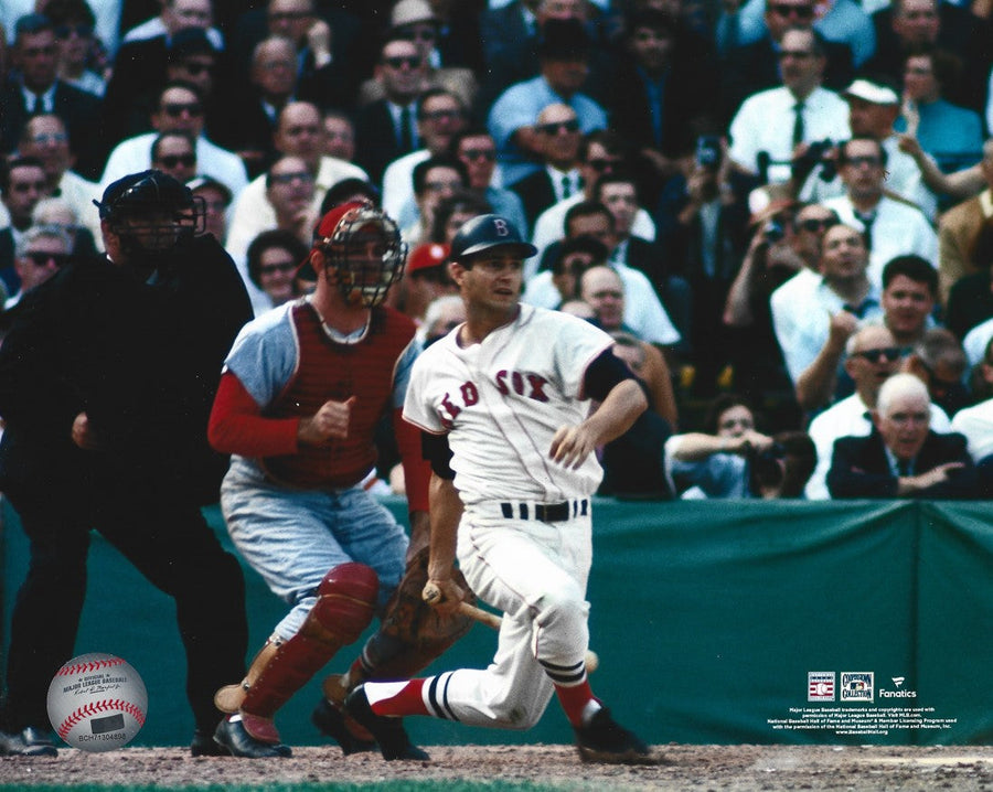 Carl Yastrzemski in Action Boston Red Sox 8