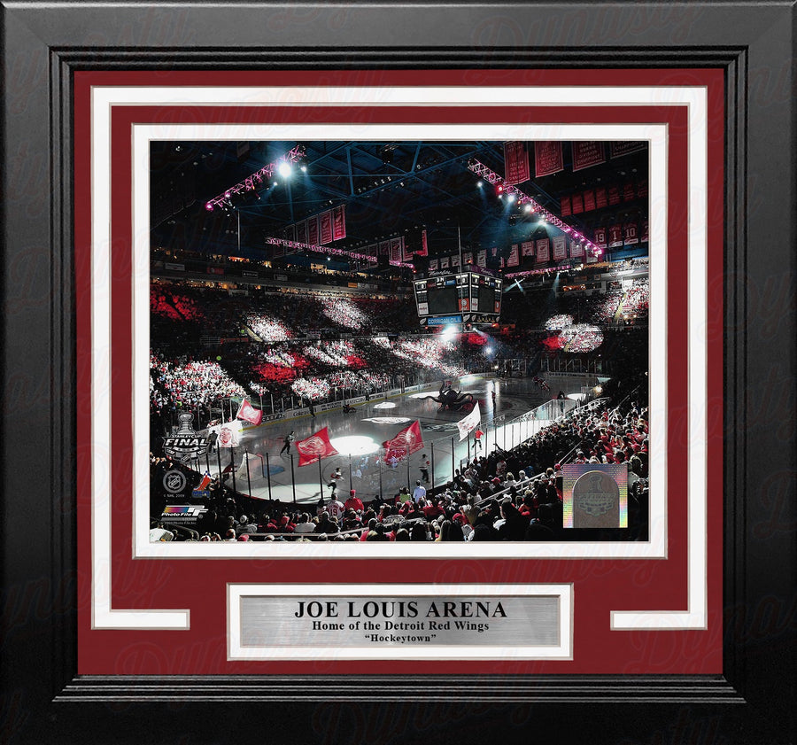 Detroit Red Wings Joe Louis Arena 2009 Stanley Cup Finals 8