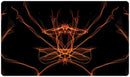 Fiery Meditation Playmat