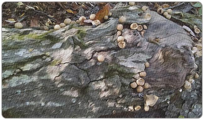 Toadstool Playmat