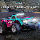 ZWN 1:16/1:20 RC Car 2WD Off-Road Remote Control Car with LED Light