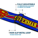 Superman Full Color Blue Seatbelt Belt - SUPERMAN/Shield Stripe Blue/Yellow/Red Webbing