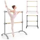 4 Foot Portable Freestanding Double Ballet Barre