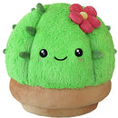 Squishable Cactus (Standard)