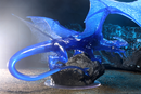 D&D: Icons of the Realms - Sapphire Dragon Premium Figure