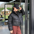 Women Winter Cropped Jacket – Warm Cotton-Padded Puffer Coat