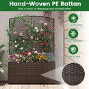 Set of 2 58 Inch Raised Garden Bed with Trellis and Wicker Planter Box
