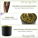 Set of 2 Fake Ficus Plant 6 FT Artificial Wisteria Tree with Natural Trunks and Purple Lifelike Flowers