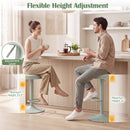 Adjustable Bar Stools Set of 2 with Padded Seat