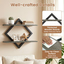 Metal Floating Wall Shelves Set of 2 with Geometric Frame