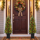 Pre-Lit Potted Christmas Tree with Warm White LED Lights