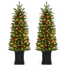 Pre-Lit Potted Christmas Tree with Warm White LED Lights
