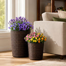 Plastic Rattan Planters Set of 3 with Drainage and Saucers