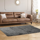 5 x 7 Feet Modern Rectangular Soft Shag Area Rug for Living Room Bedroom
