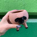 Sheep Animal Planter Pot Large | 3.5" Tall