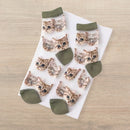 Sheer Cat Lover Socks Available in Yellow Green Red or Black [Fits Women's Size 5-9]