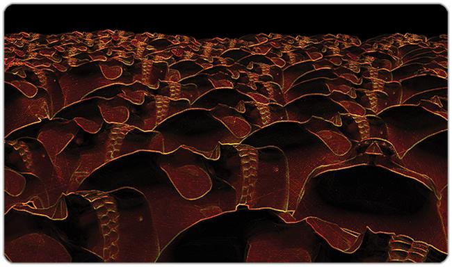 Purgatory Playmat
