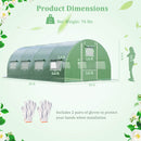20 x 10 x 6.6 Feet Greenhouse with Windows and Doors for Outdoor-Green